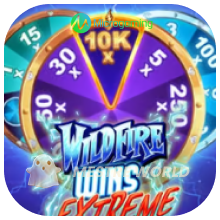 Microgaming301